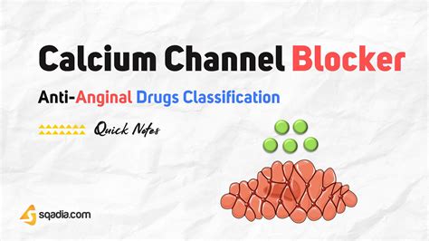 can't take calcium channel blockers